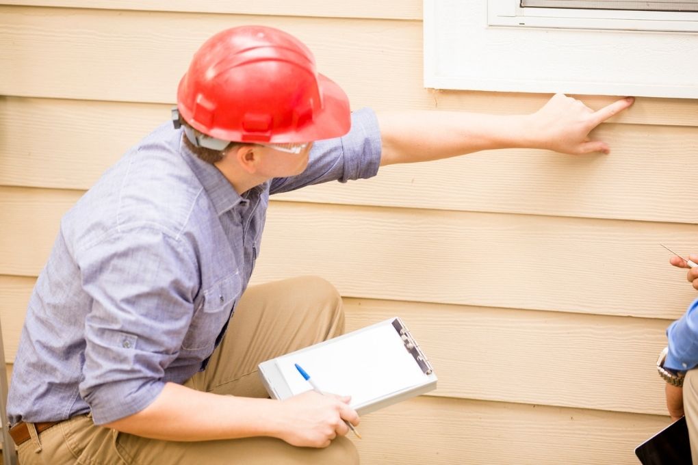 expert witness consulting in wood damage
