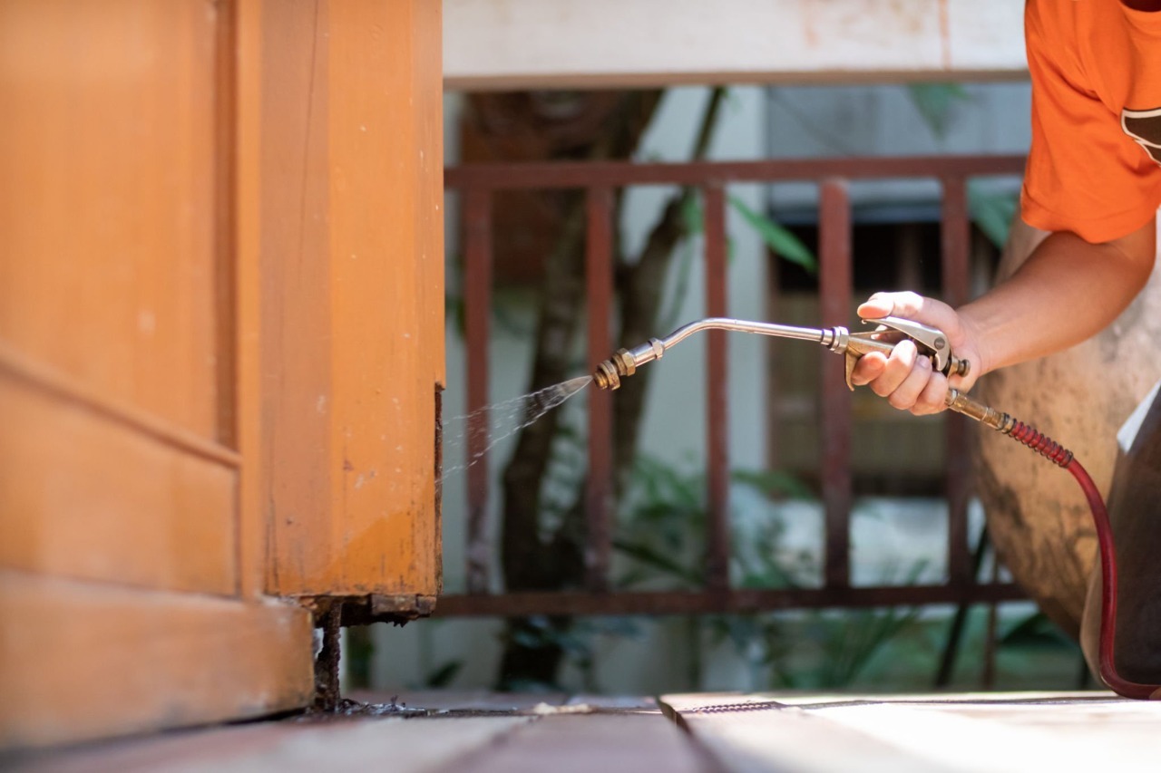 How Termite Control Services Help to Create Defensible Legal Testimony?