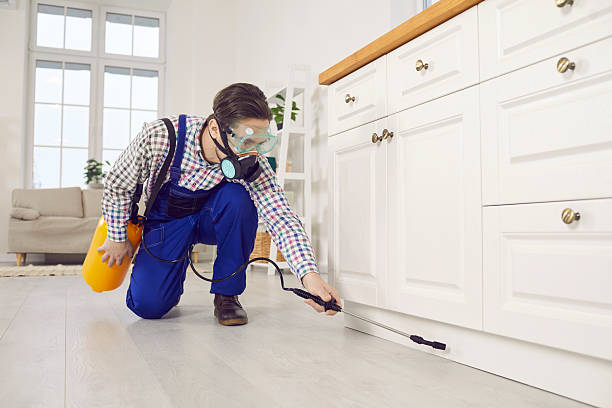 termite damage insurance claims attorne