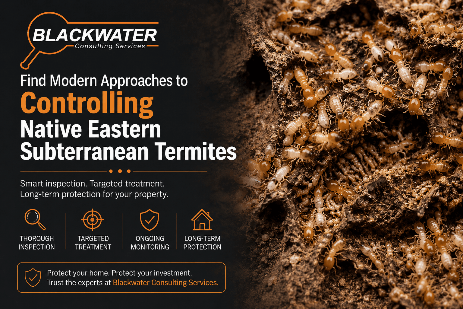 Find Modern Approaches to Controlling Native Eastern Subterranean Termites