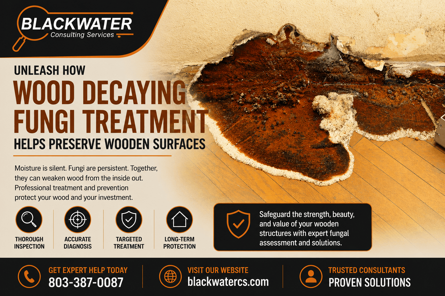 Unleash How Wood Decaying Fungi Treatment Helps Preserve Wooden Surfaces